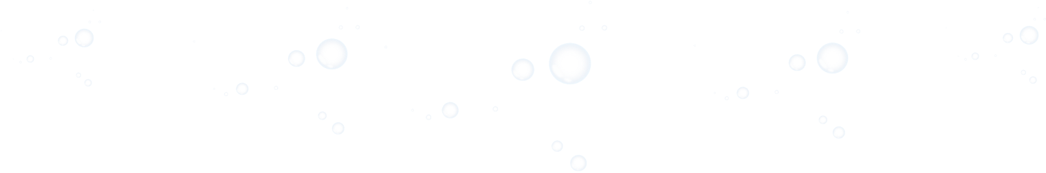 Mis Halı Yıkama Fabrikası Erzurum Müşteri İstatistikleri