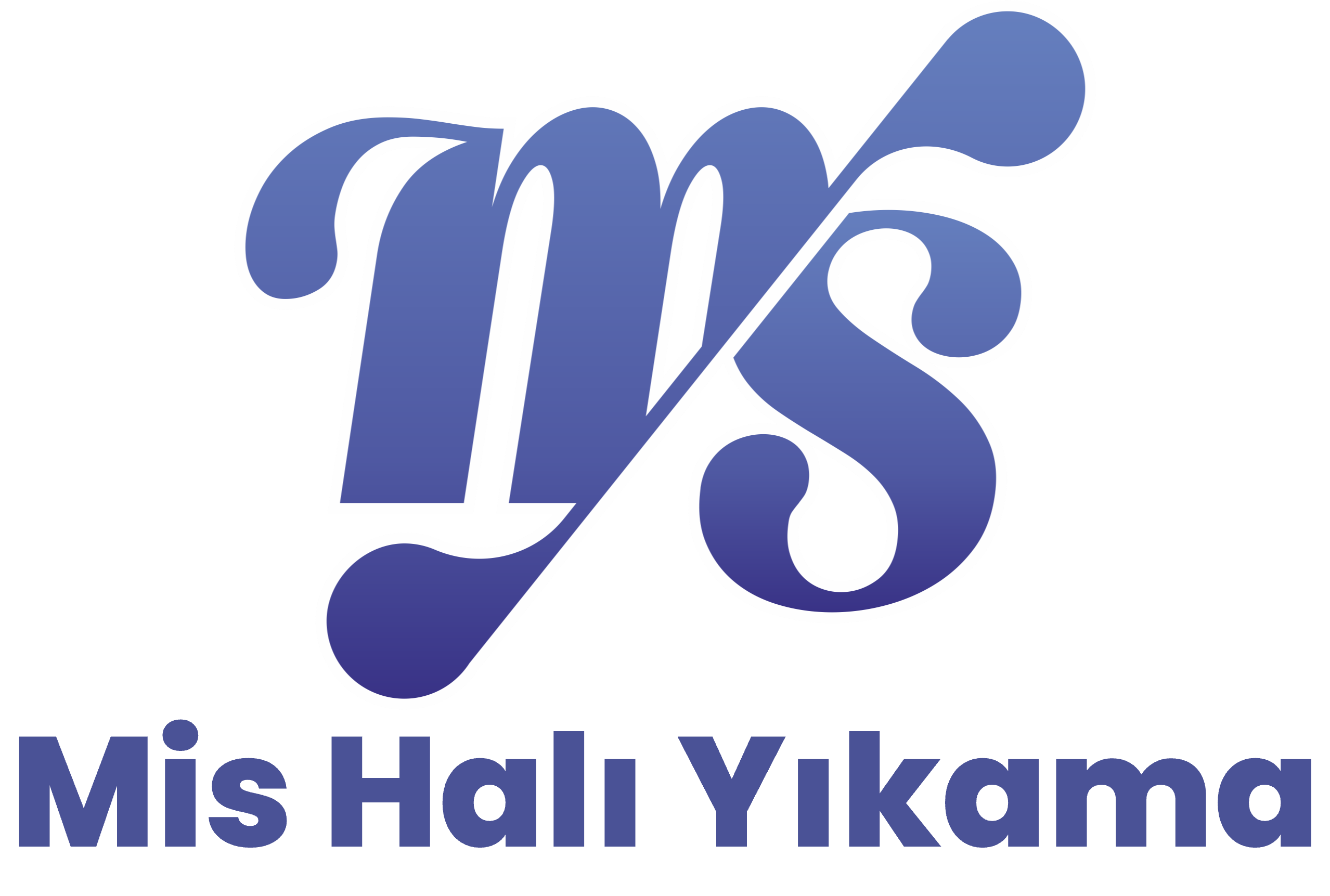 Mis Halı Yıkama Fabrikası Erzurum Arama Logosu